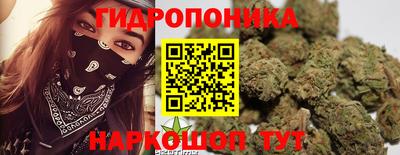 прущие грибы Тула