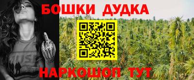 прущие грибы Тула
