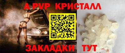 прущие грибы Тула