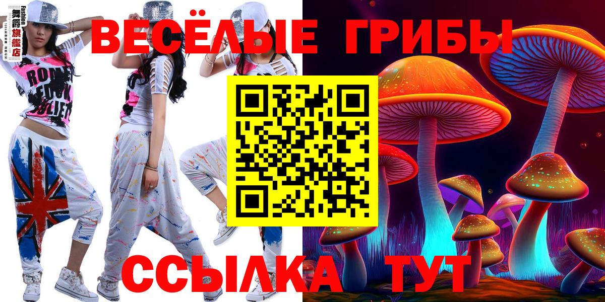 Галлюциногенные грибы Psilocybine cubensis  Псилоцибиновые грибы прущие грибы  Альметьевск  Вход с VPN 